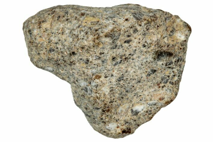 Lunar Meteorite ( g) - NWA #303764